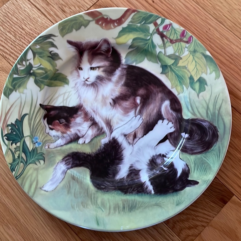 St. Martin Email de Limoges Cat Plate